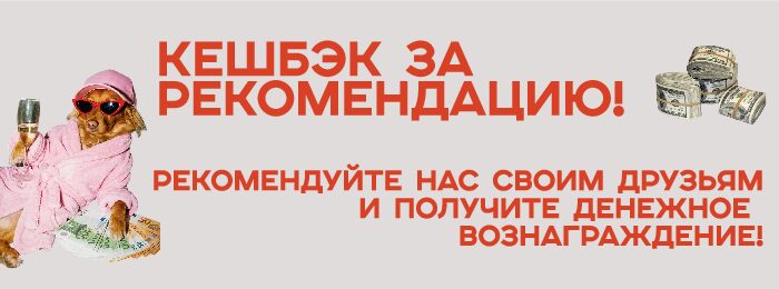 Кэшбек!
